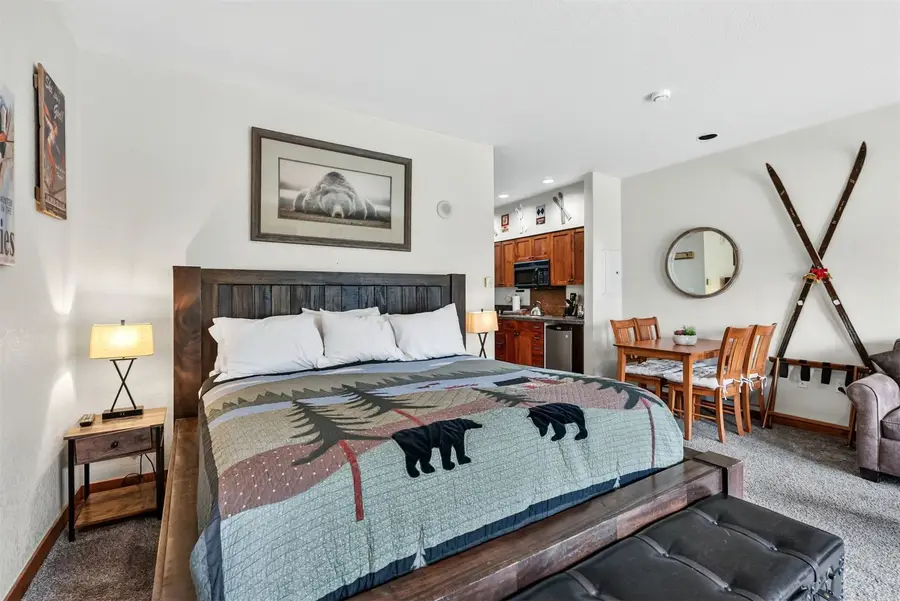 505 S Main Street #1203, Breckenridge, CO 80424 - #3