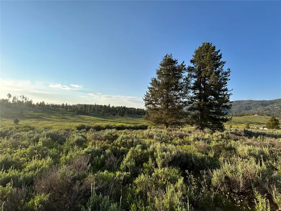 20965 Hoch Eye Way, Oak Creek, CO 80467 - #2