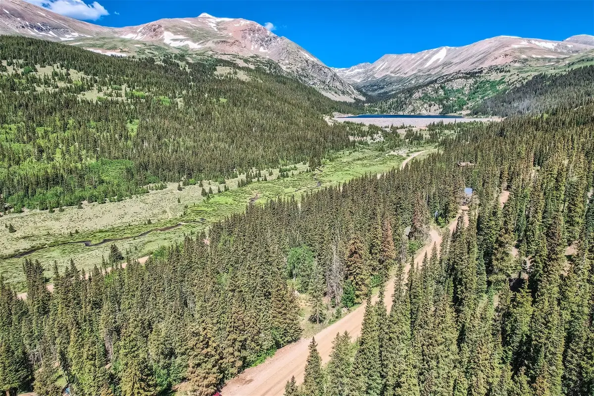 553 Nuthatch Drive, Alma, CO 80440 - #1