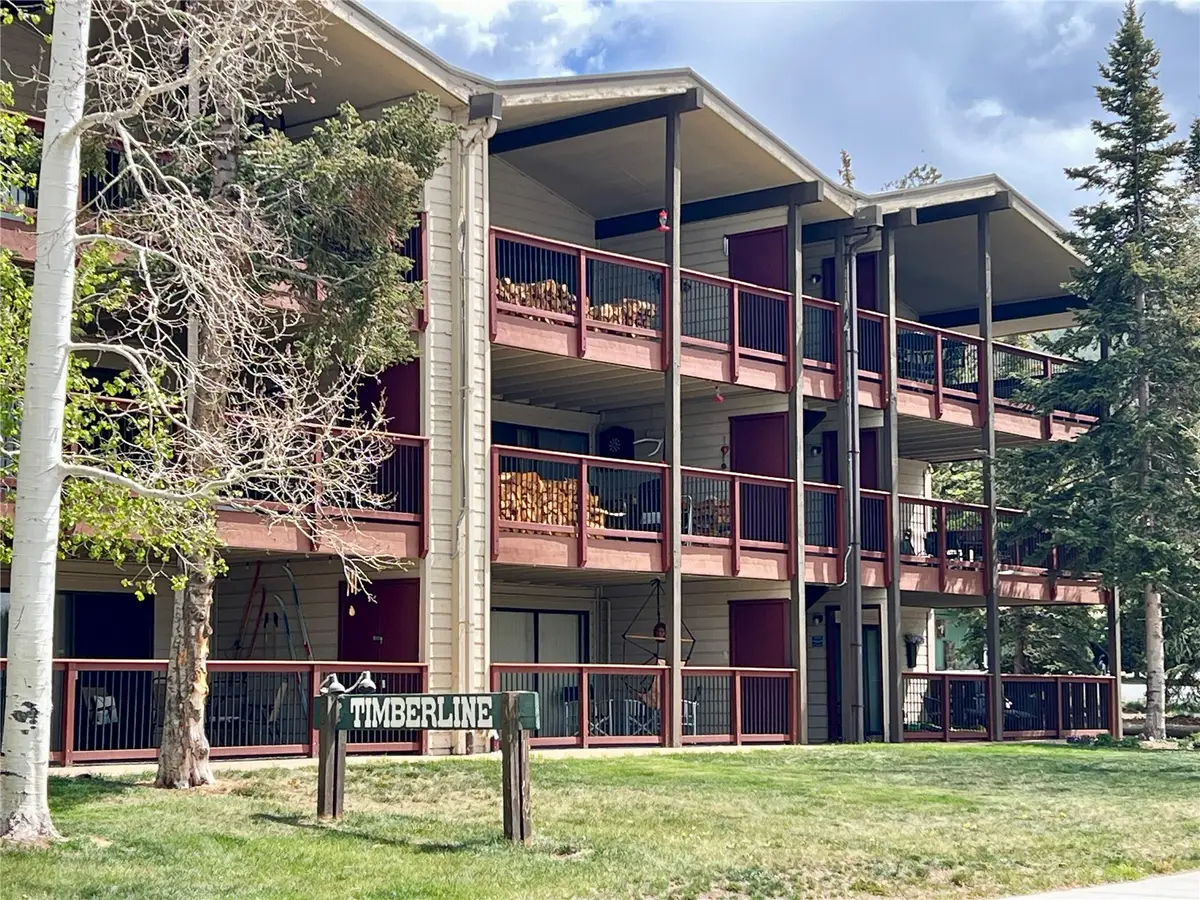 244 Lodgepole Street #15, Dillon, CO 80435 - #1