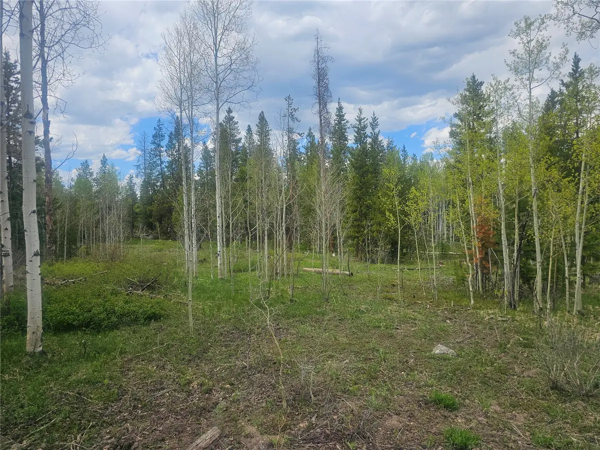 TBD Cody Trail, Oak Creek, CO 80467 - #1