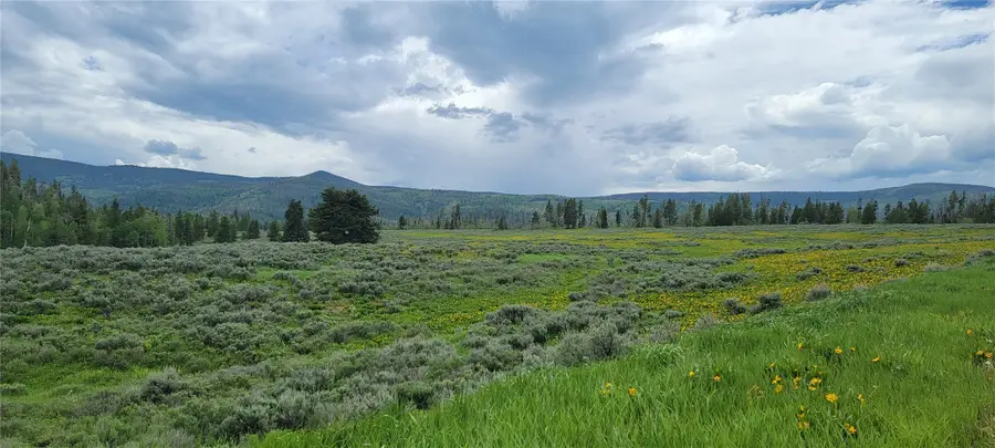 TBD Cody Trail, Oak Creek, CO 80467 - #3