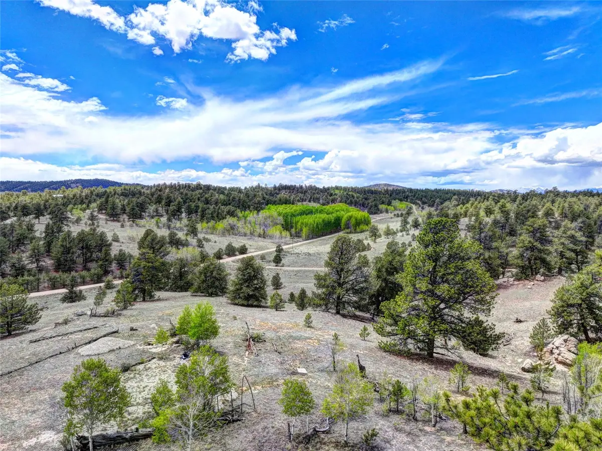 33 Jasper Way, Hartsel, CO 80449 - #1