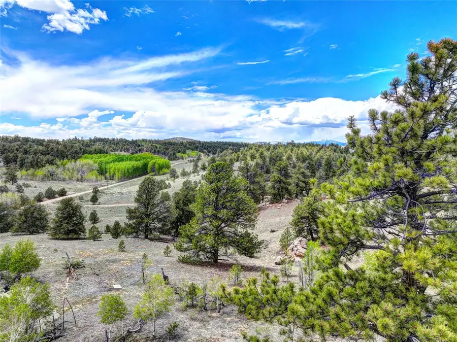 33 Jasper Way, Hartsel, CO 80449 - #2