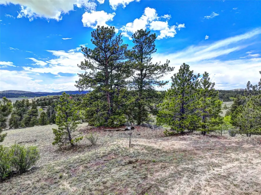 33 Jasper Way, Hartsel, CO 80449 - #3
