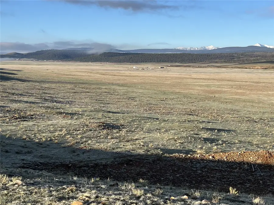 320 South Fork Way, Hartsel, CO 80449 - #2