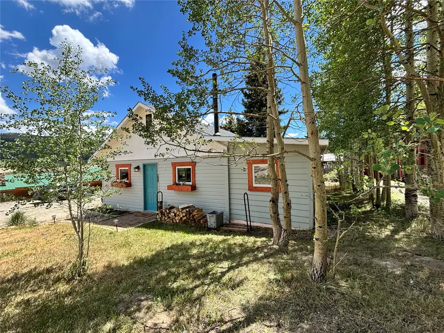 486 Cr-10, Alma, CO 80440 - #3