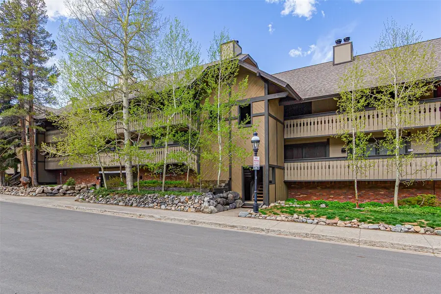 311 S High Street #206, Breckenridge, CO 80424 - #2