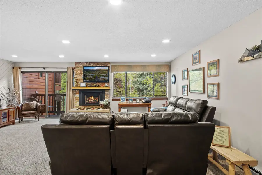 350 Four Oclock Road #D, Breckenridge, CO 80424 - #3