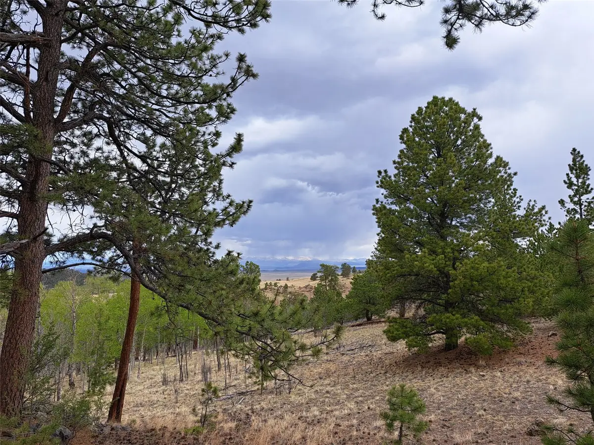 ` Dog Soldier Trail, Hartsel, CO 80449 - #1