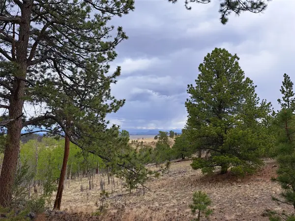 ` Dog Soldier Trail, Hartsel, CO 80449