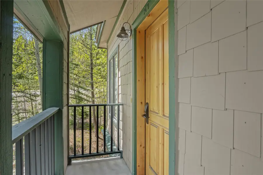 260 Ski Hill Road #A1, Breckenridge, CO 80424 - #2