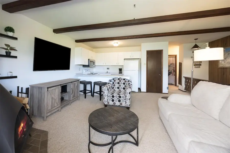 130 Evergreen Road #301, Dillon, CO 80435 - #3