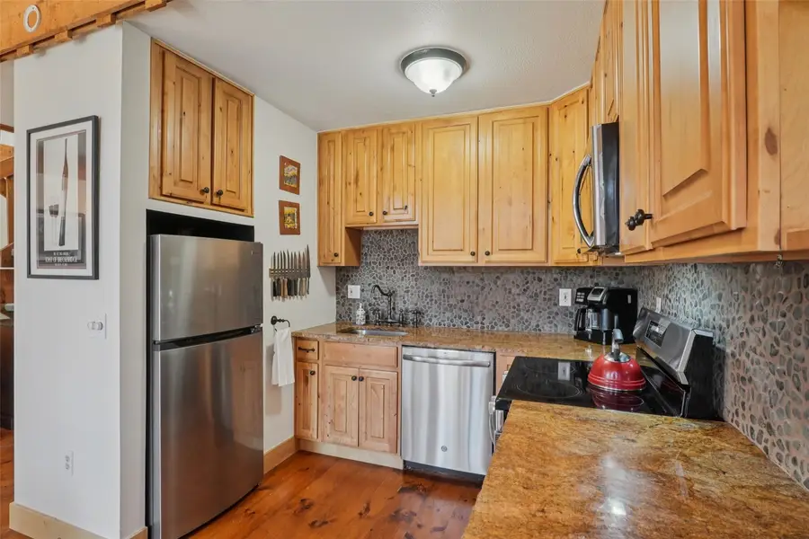 166 S Fuller Placer Road #6, Breckenridge, CO 80424 - #2