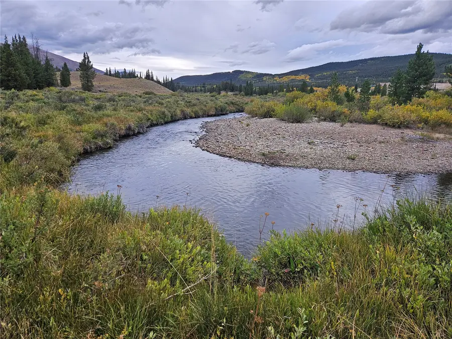 700 Looney Lane, Alma, CO 80420 - #2