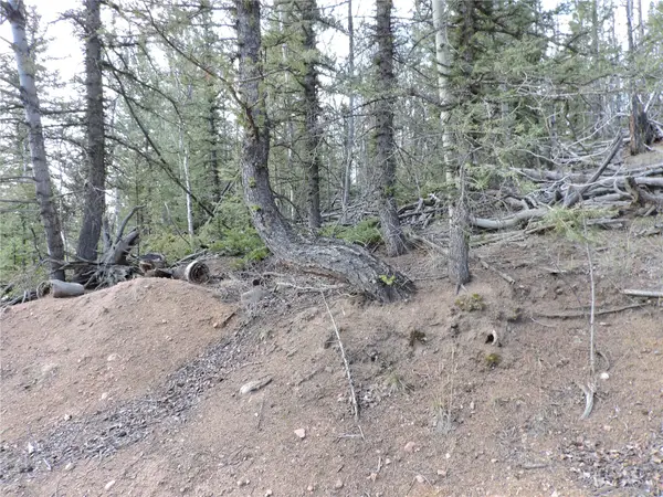 258 Old Squaw Road, Como, CO 80432