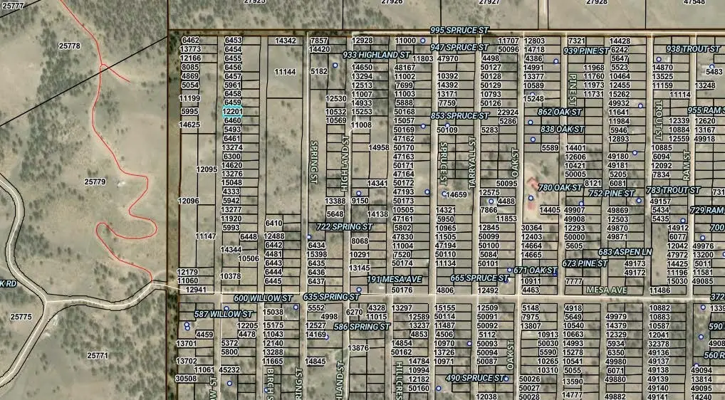 0000 Willow Street, Hartsel, CO 80449 - #1
