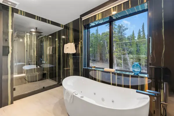 316 N Fuller Placer Road, Breckenridge, CO 80424