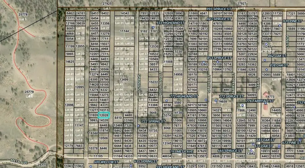 0 Oak Street, Hartsel, CO 80449 - #1