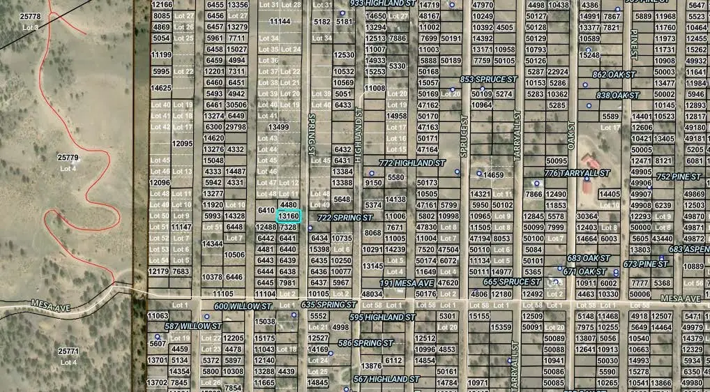 00000 Spring Street, Hartsel, CO 80449 - #1