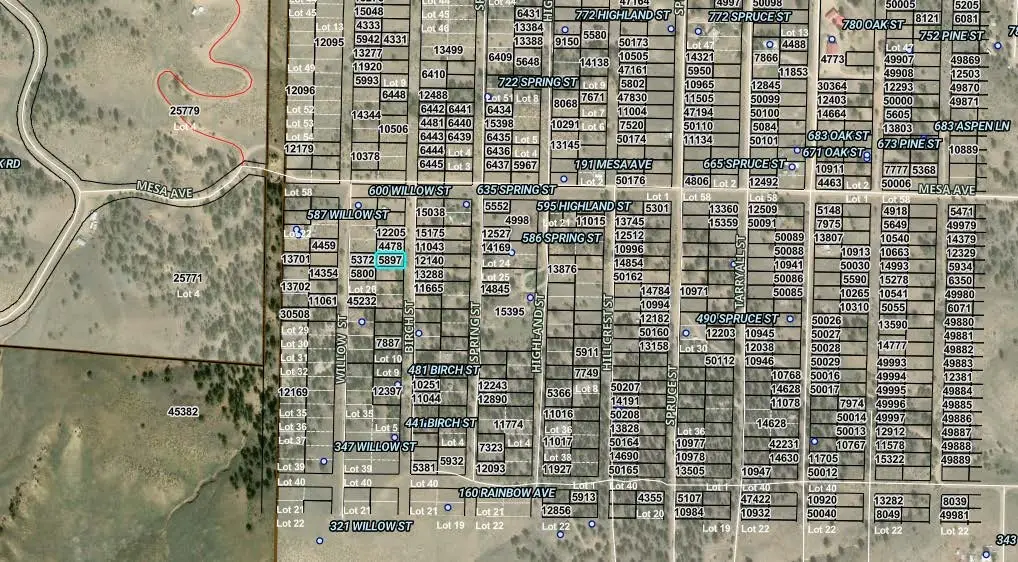 00001 Birch Street, Hartsel, CO 80449 - #1