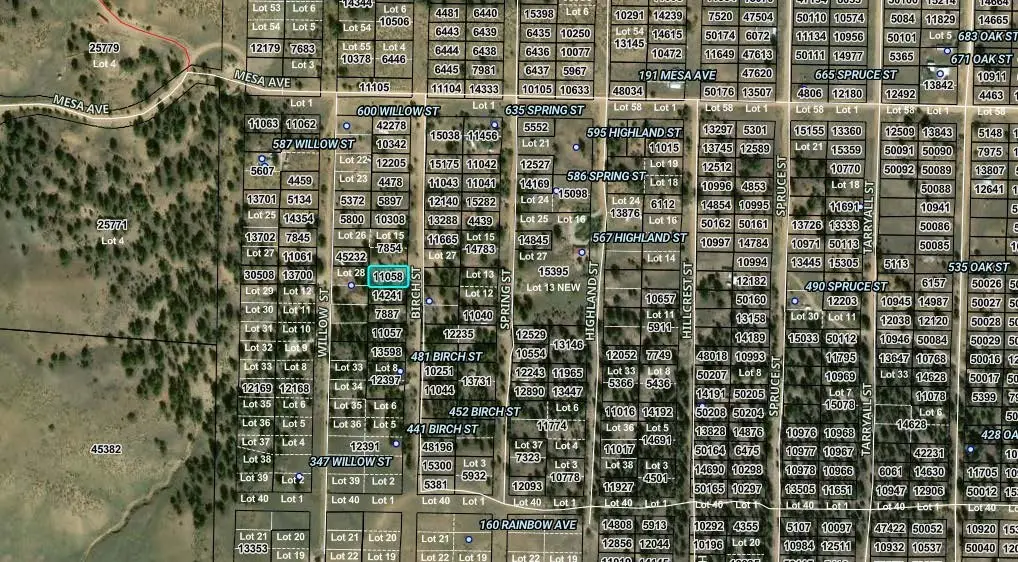 00002 Birch Street, Hartsel, CO 80449 - #1