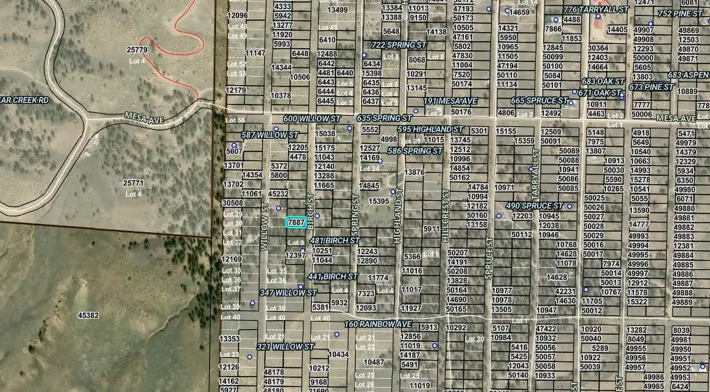 00003 Birch Street, Hartsel, CO 80449 - #1