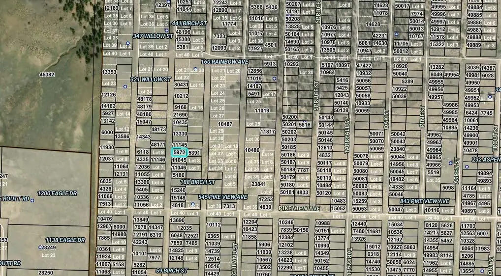 00004 Birch Street, Hartsel, CO 80449 - #1