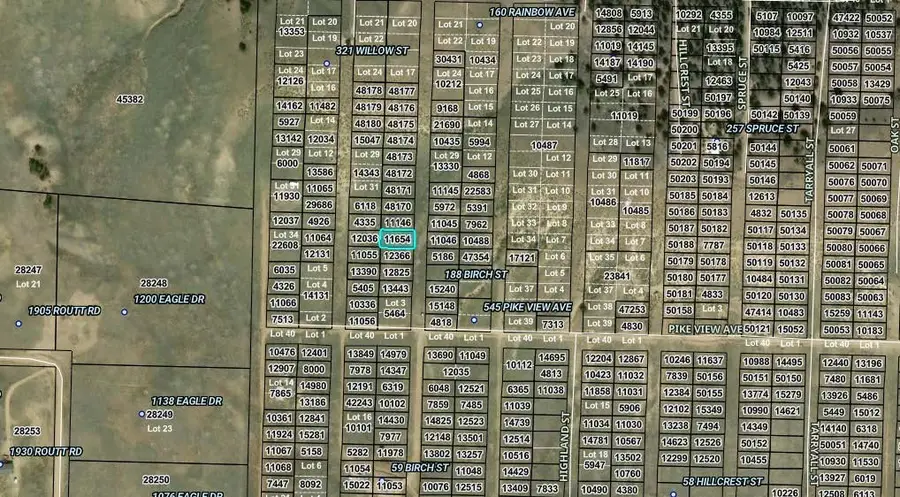 00005 Birch Street, Hartsel, CO 80449 - #2