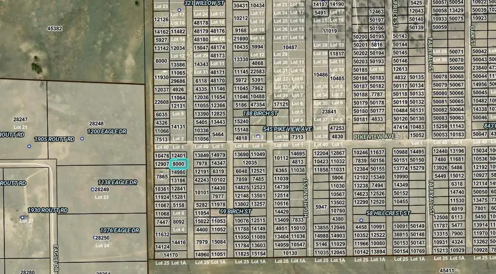 00003 Willow Street, Hartsel, CO 80449 - #1