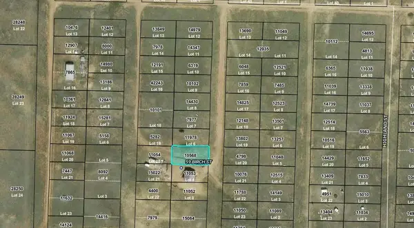 00006 Birch Street, Hartsel, CO 80449