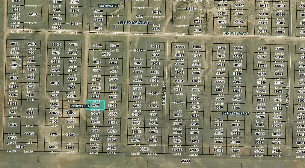 00007 Birch Street, Hartsel, CO 80449 - #1