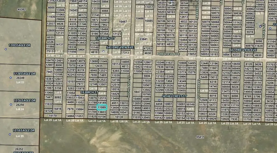 00008 Birch Street, Hartsel, CO 80449 - #2