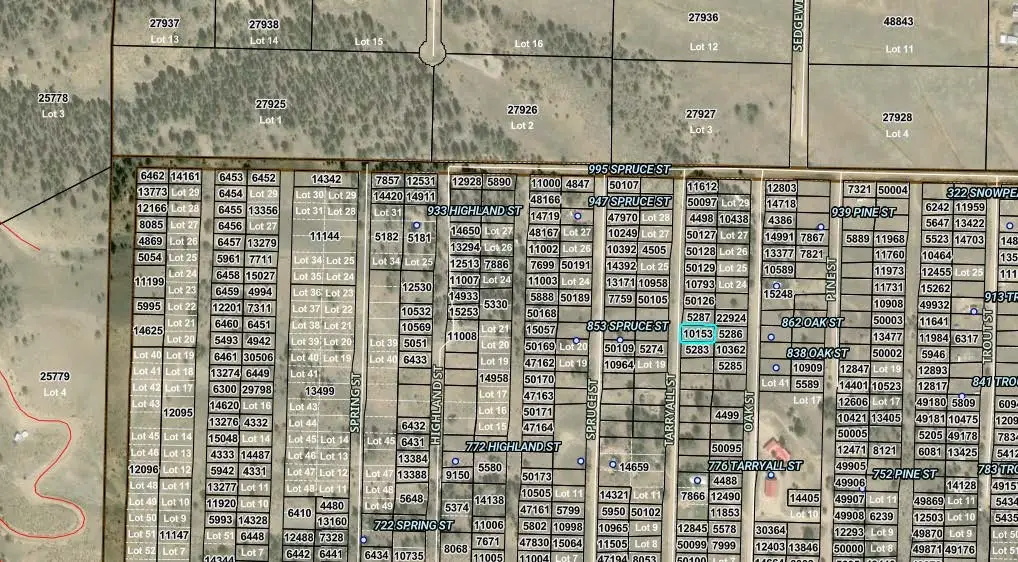 0 Tarryall Street, Hartsel, CO 80449 - #1