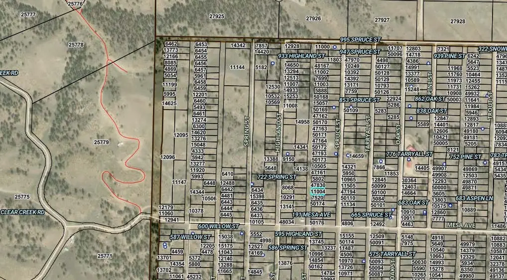 000 Hillcrest Street, Hartsel, CO 80449 - #1