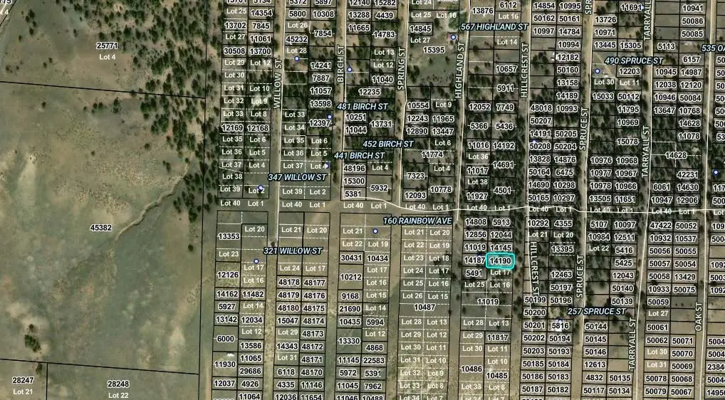 00002 Hillcrest Street, Hartsel, CO 80449 - #1