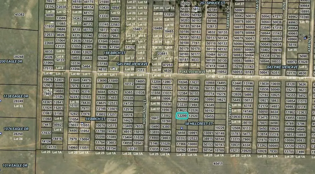 00003 Hillcrest Street, Hartsel, CO 80449 - #1