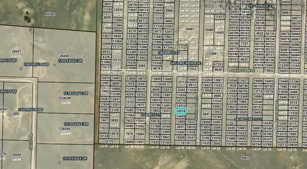 00000 Spring Street, Hartsel, CO 80449