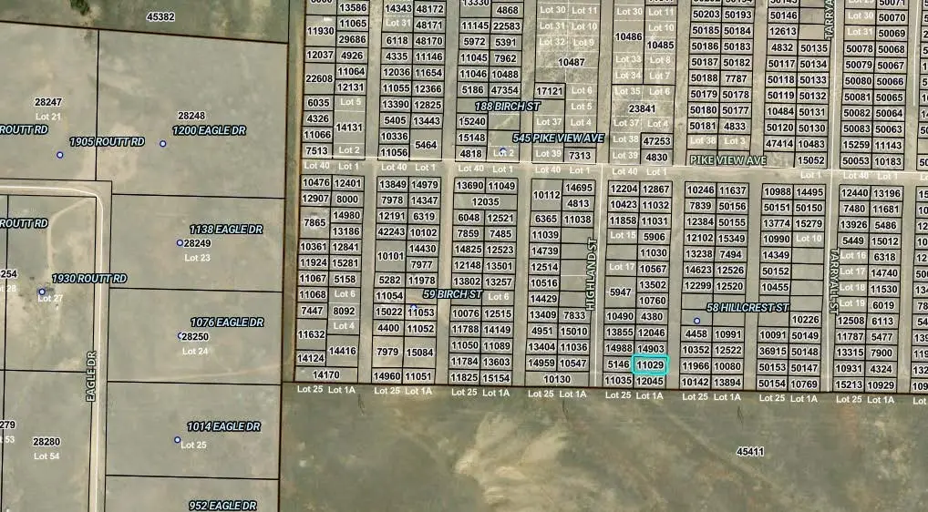 00006 Hillcrest Street, Hartsel, CO 80449 - #1