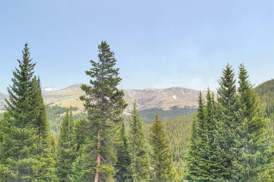 234 Carroll, Breckenridge, CO 80424 - #2