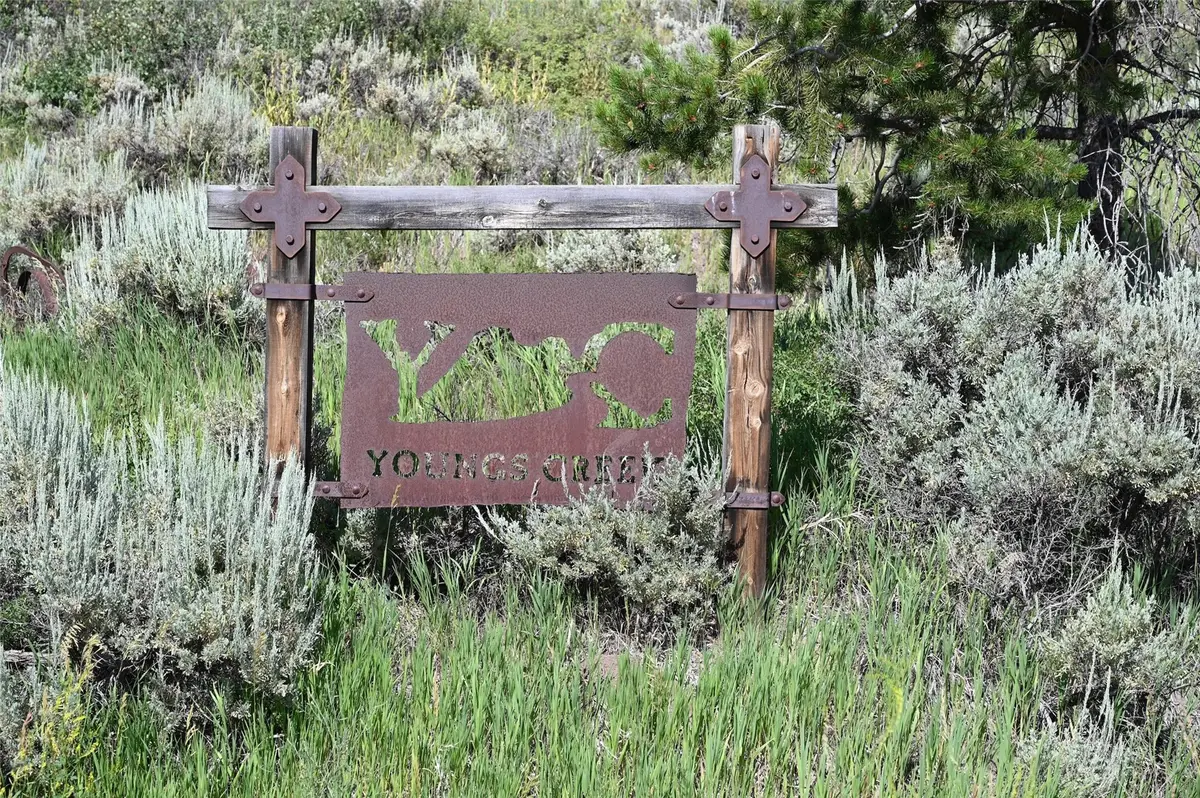 23590 Youngs Creek Way, Oak Creek, CO 80467 - #1