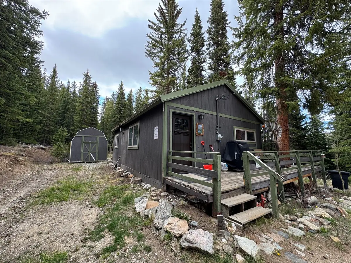 219 Ansley Avenue, Alma, CO 80440 - #1