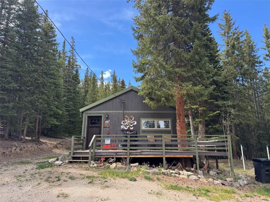 219 Ansley Avenue, Alma, CO 80440 - #2