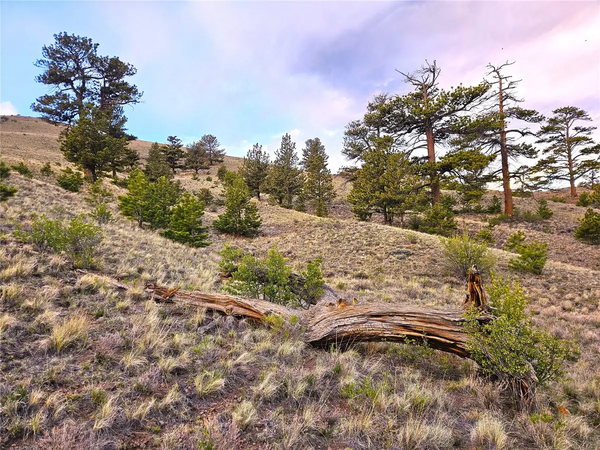 PCS#25427 Yuma Road, Hartsel, CO 80449 - #1