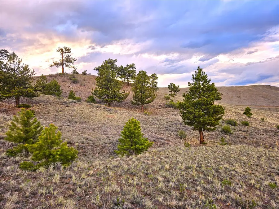 PCS#25427 Yuma Road, Hartsel, CO 80449 - #3