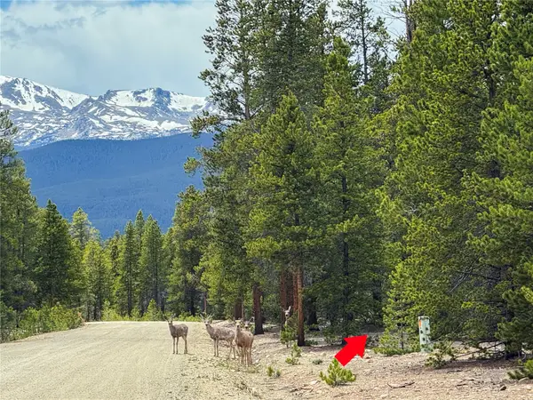 201 Snowshoe Rabbit Drive, Leadville, CO 80461