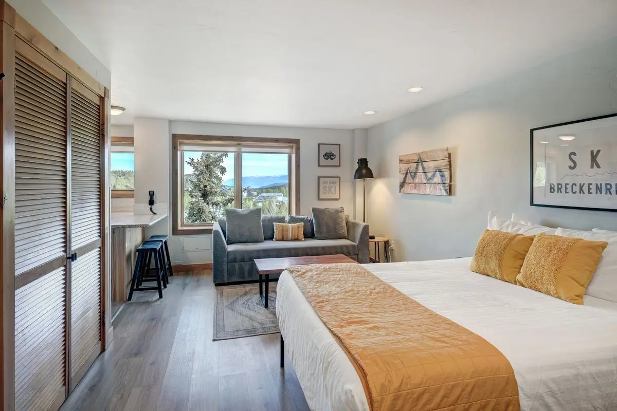 535 S Park Avenue #317, Breckenridge, CO 80424 - #1