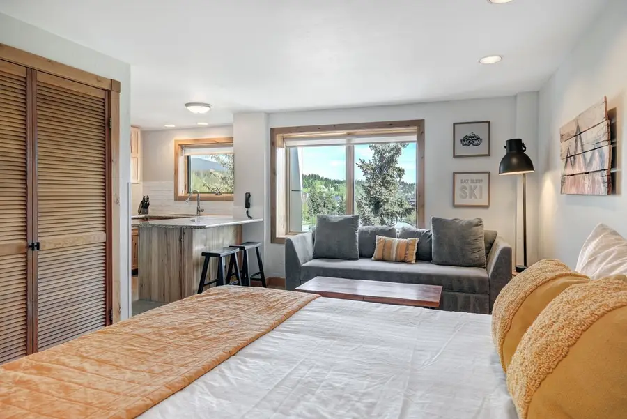 535 S Park Avenue #317, Breckenridge, CO 80424 - #2