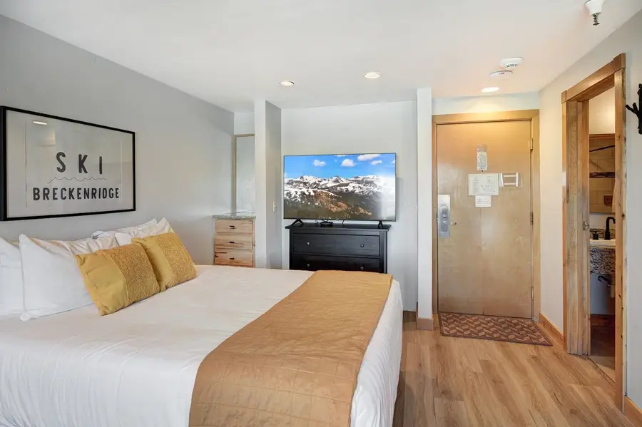 535 S Park Avenue #317, Breckenridge, CO 80424 - #3