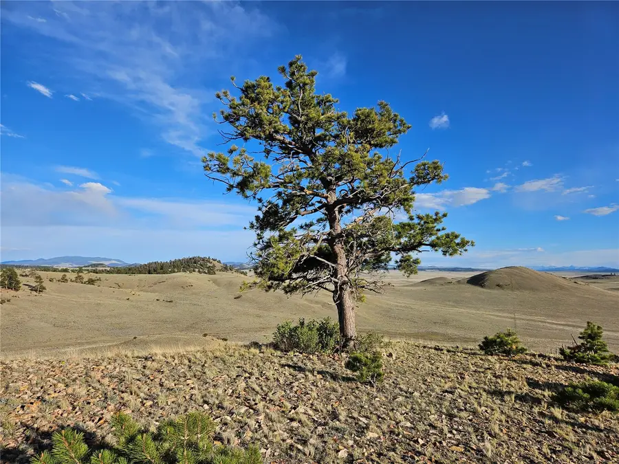 PCS#24142 Antero Road, Hartsel, CO 80449 - #3